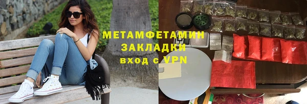 прущие грибы Верхний Тагил